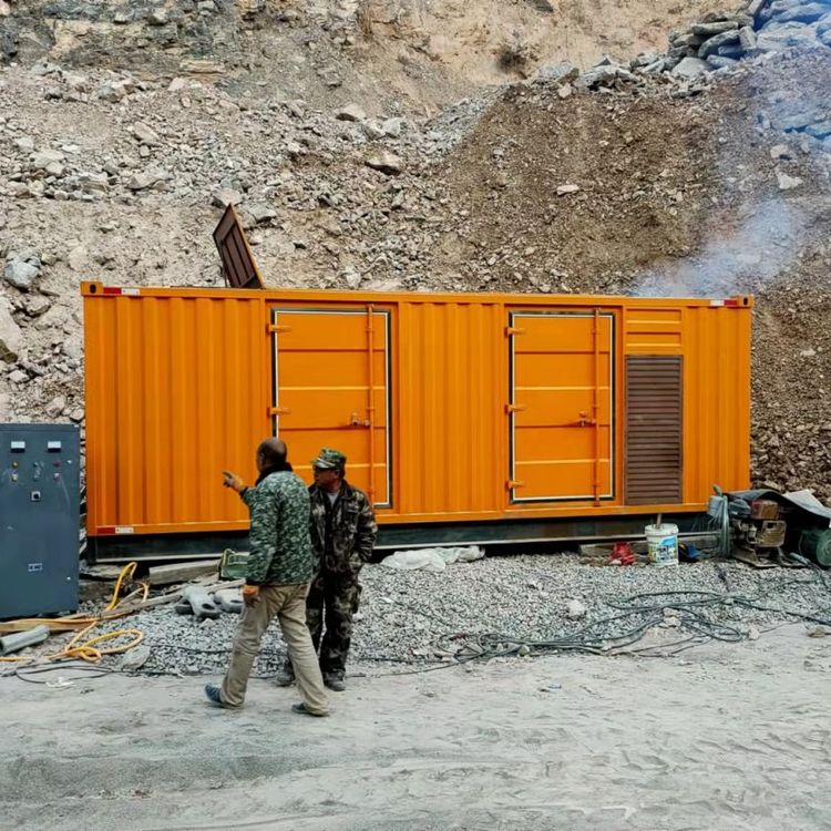 新州镇如何选择适合自己的 800KW 柴油发电机组？